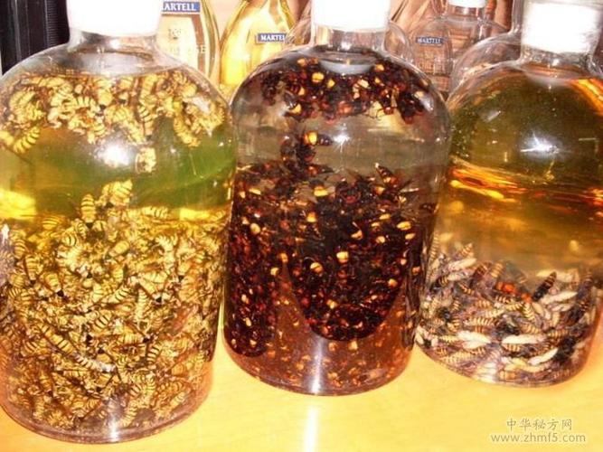 『秘偏方』中老年人泡酒药材配方