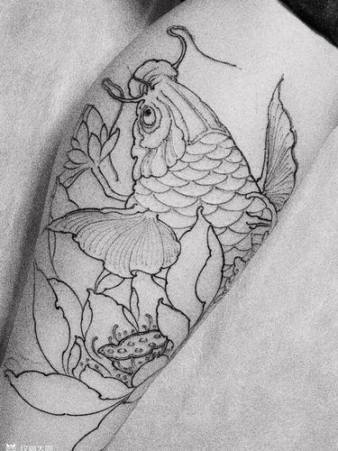 新传统鲤鱼线条_纹身图案手稿图片_王海涛的纹身作品集
