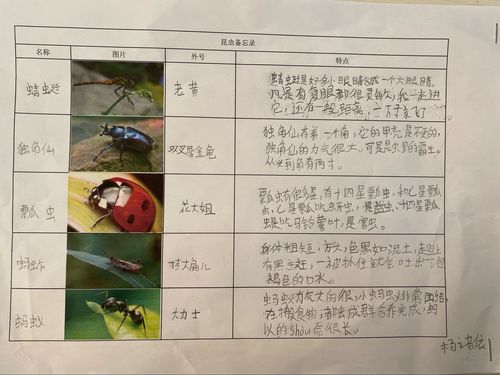 昆虫备忘录～302班