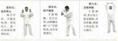 武当天罡拳十二式