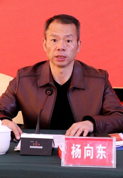 县委常委组织部部长杨向东讲话