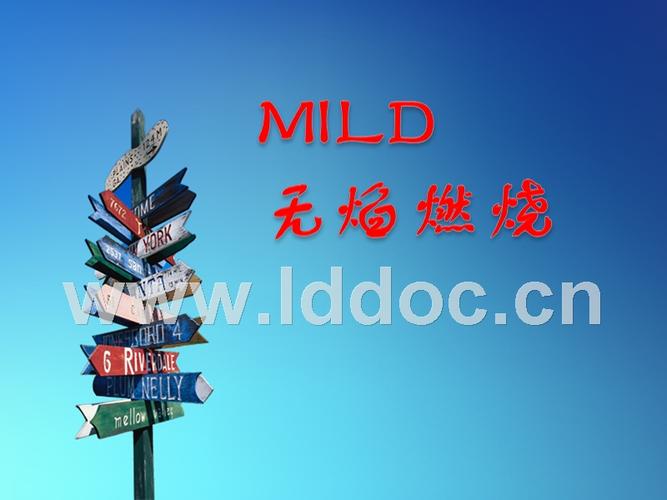 mild无焰燃烧.ppt