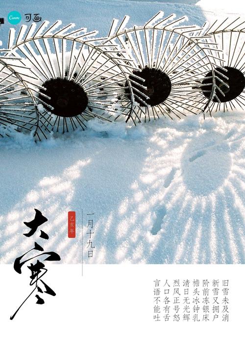 大寒设计专题