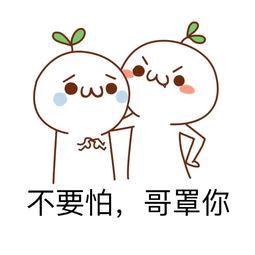 相关表情包