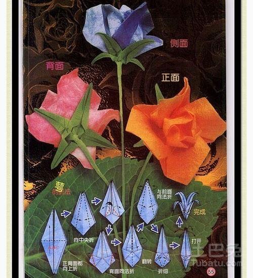 常见折纸花大全图解
