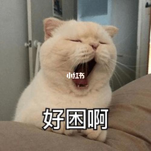 困的像98但是不敢睡啊06_表情包_素材_表情包