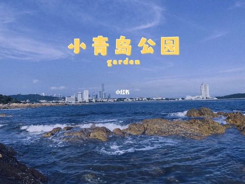 青岛旅游打卡|小青岛公园 绝美!