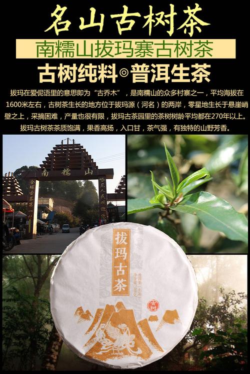 南糯山古树茶普洱生茶