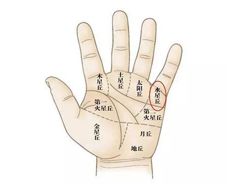 有清晰的财富纹