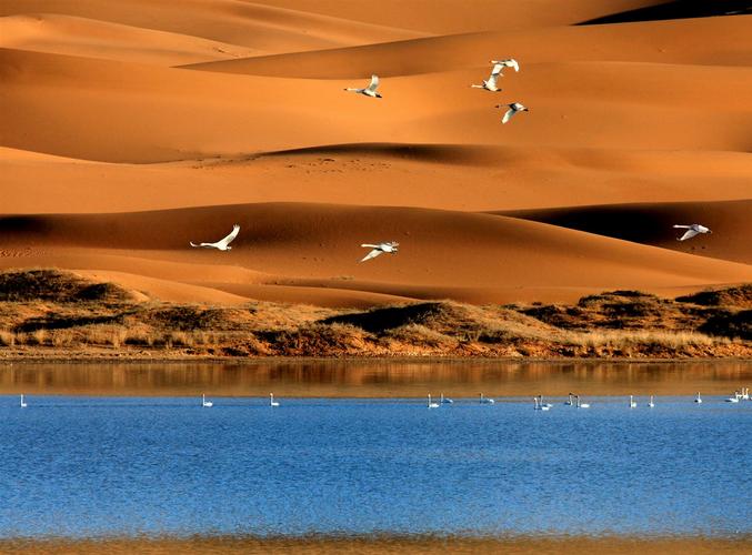 世界唯一的沙漠世界地质公园——阿拉善