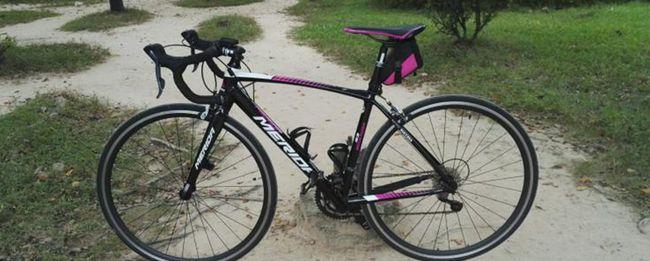 美利达斯特拉93