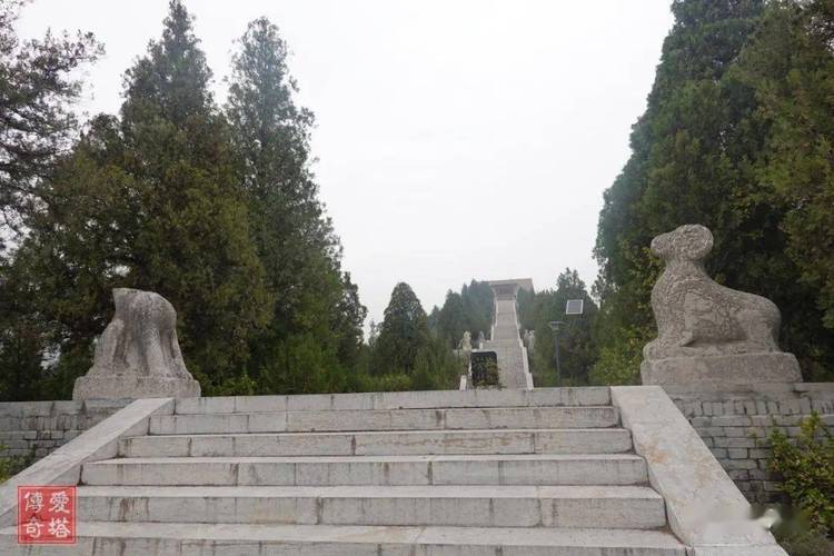 唐昭陵韦贵妃墓