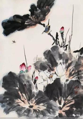 王雪涛绝美荷花欣赏太享受了