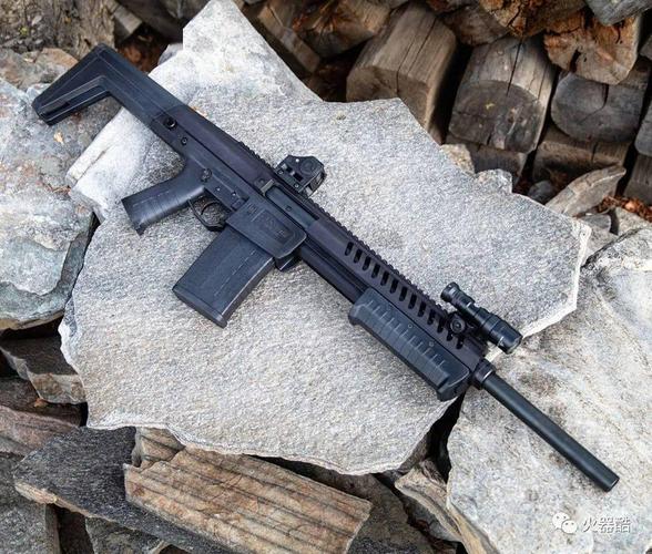 【又见黑水】sentry 12霰弹枪图集