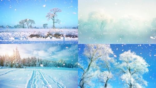 雪落下的声音配乐成品陆虎延禧攻略雪景雪花飘雪雪景唯美雪景歌曲背景