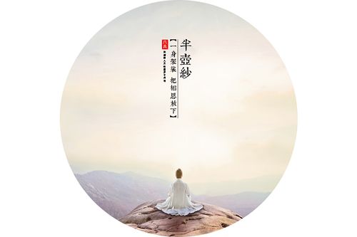 半壶纱_人像_poco摄影,古风,禅意,半壶纱