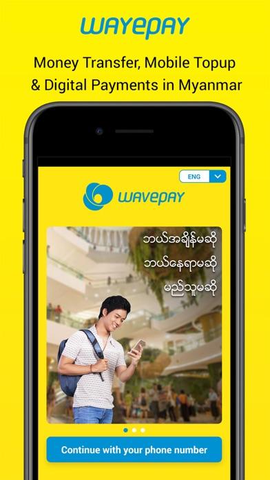 wavepay基本信息