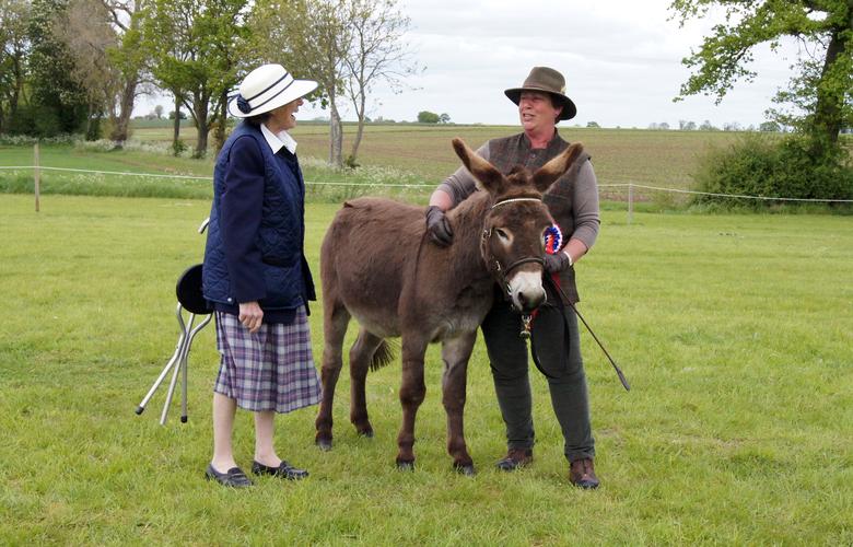donkey champion justa cuzican and wendy sawyer and judge jane