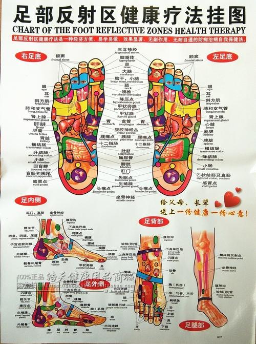 足底按摩穴位图经络反射区挂图针灸人体脚底 点穴挂图棒笔书挂图