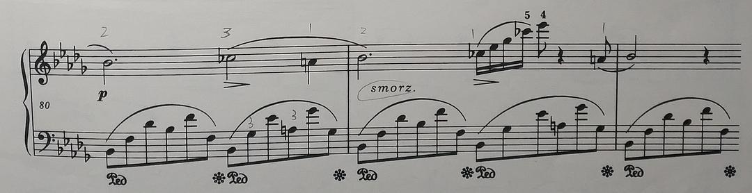 【练琴手记】肖邦-降b小调夜曲(op.9, no.1) /夜曲1号 - part ii:技术