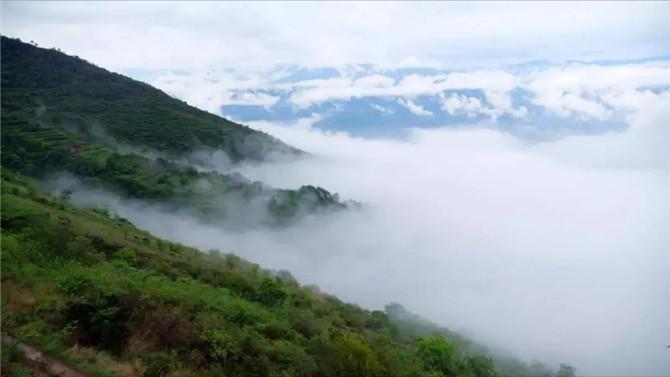 巧家:药山守护珍稀动植物 石匠房栈道见证时代变迁