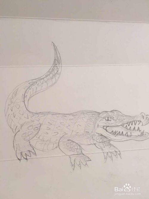 鳄鱼的简笔画怎么画