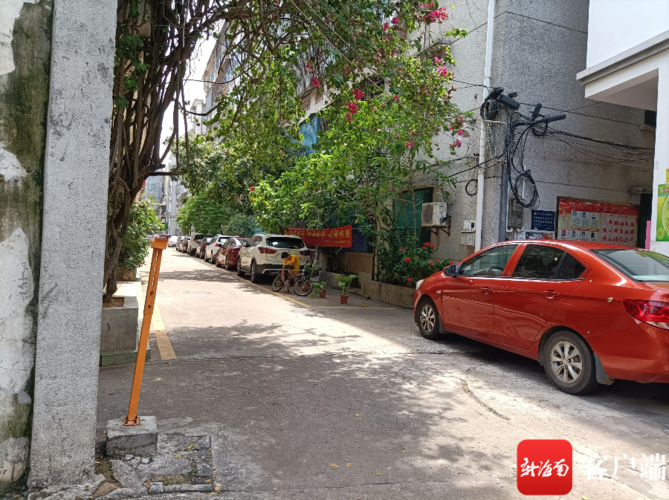 邦墩社区改造后街道整洁有序