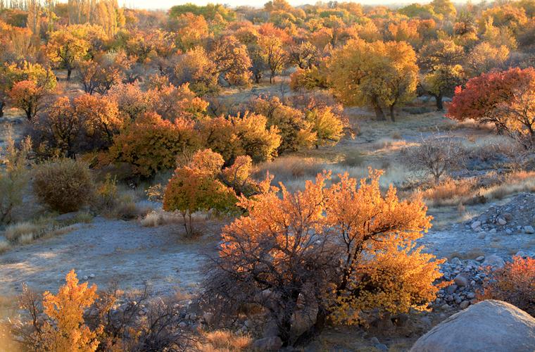 景区 "潮玩":新疆哈密庙尔沟景区,如何创新文旅新玩法