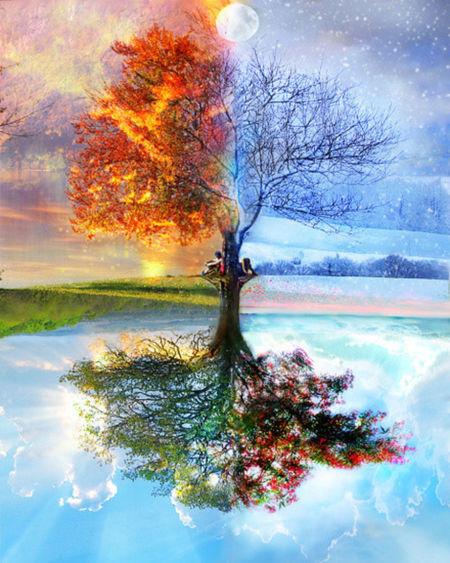 求春夏秋冬四季精美图片