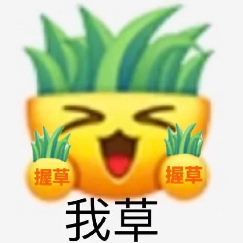 过冬六件套