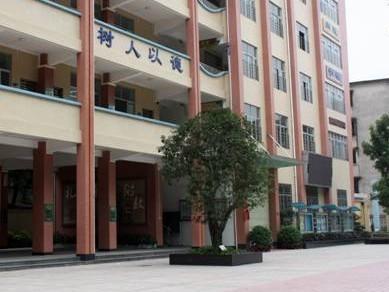 广州市花都区新华镇第二小学(新华二小)相册