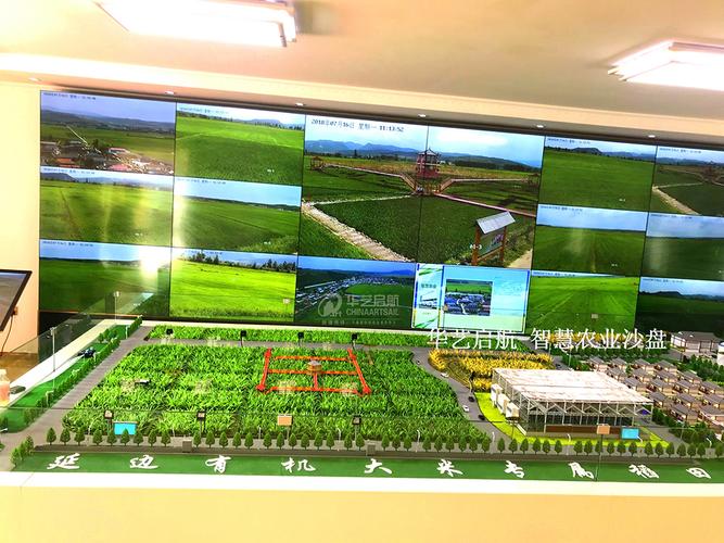 农业物联网沙盘模型(延边有机大米专属稻田演示)