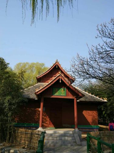 五十六个民族,五十六朵花.