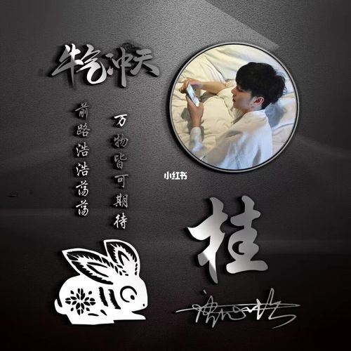 2021最新生肖头像上线 可改签名,生肖 图片文字姓氏