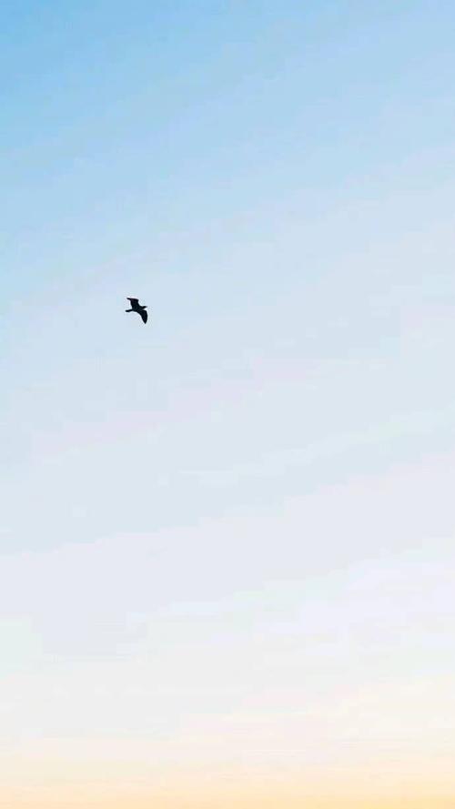 单飞雁七绝一首