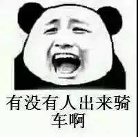 敢斗图吗?骑车专属表情包,不信你不收藏