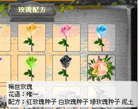 中双色玫瑰要先种黑玫瑰白玫瑰吗?稀世玫瑰我没种绿玫瑰怎么就能种啊.