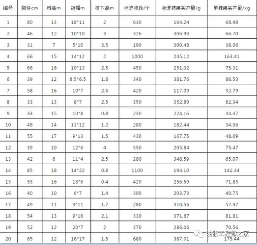 2019年我国粮油产销等情况.