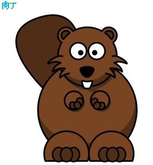 可爱的卡通小海狸简笔画 幼儿创意diy卡通画
