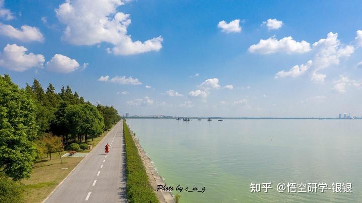 太湖大堤及贡湖湾湿地徒步线