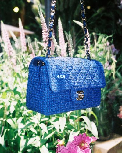 香奈儿新款包包972021早春系列太仙了吧_香奈儿怎么