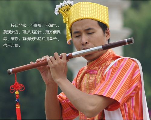 巴乌 演出初学巴乌 g调 横吹 f调 云南 红木 成人儿童乐器 送