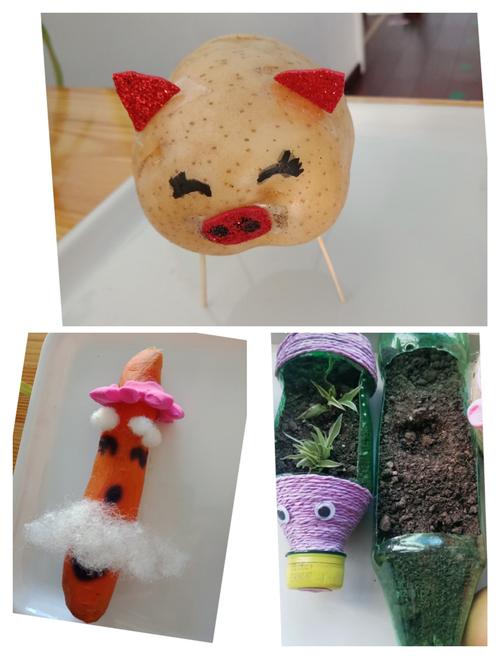 用心的家长还给用土豆和胡萝卜做了创意手工