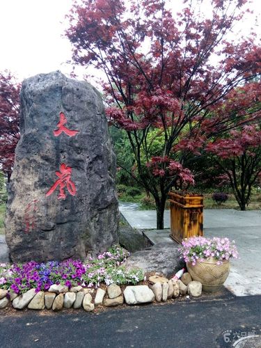 余姚大岚～上马岗～姚江源～大岚赏樱花环线9