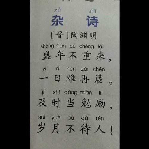 《杂诗》【晋 陶渊明】(每天读一首古诗词)