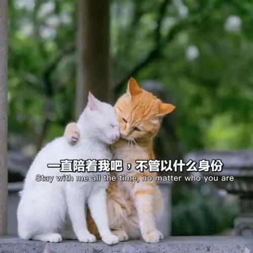 36张抖音热门背景图