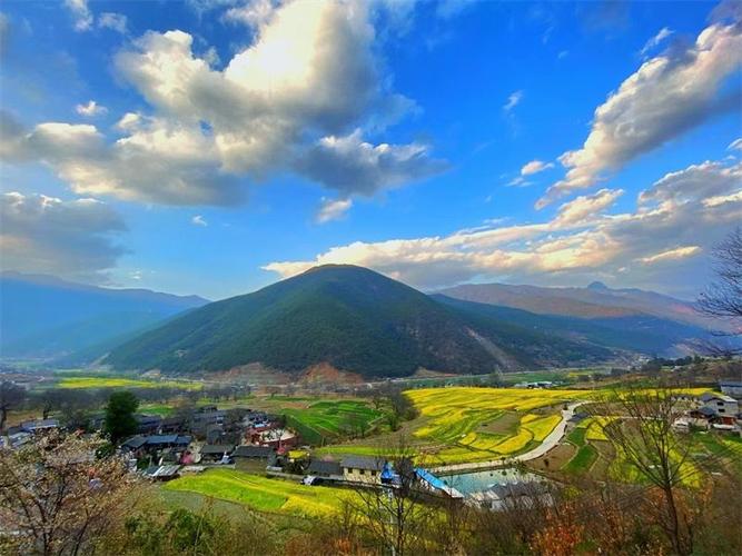 香格里拉之心维西塔城乡村身披黄金甲油菜花开春韵浓
