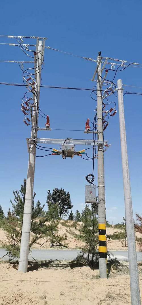 zw20-12真空断路器|10kv真空分界开关使用案例