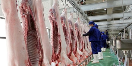 屠宰企业:卖不动的肉 赔钱杀的猪