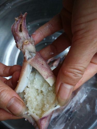 明胶还是乌贼籽?